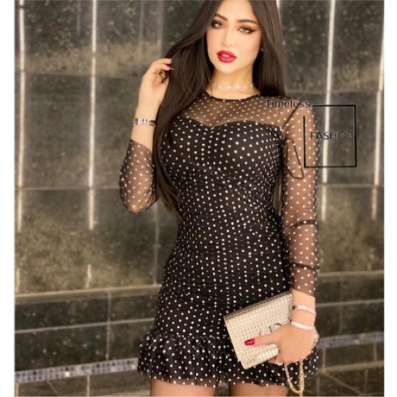 NWT ZARA Tulle Swiss Dot Dress S Blogger Favorite - Picture 1 of 7